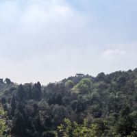 評論圖片 4