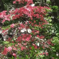 評論圖片 5