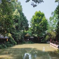 評論圖片 5