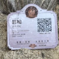 評論圖片 1