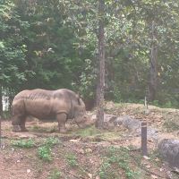 評論圖片 7
