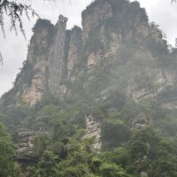 評論圖片 3