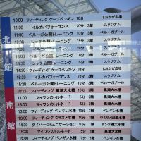 評論圖片 5