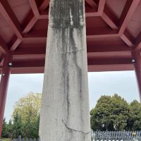 評論圖片 9