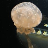 評論圖片 2