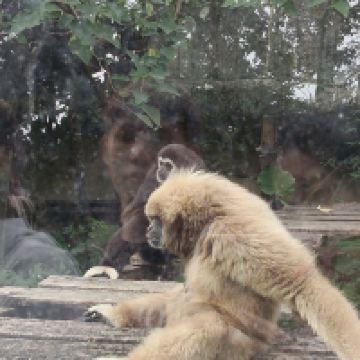 評論圖片 4