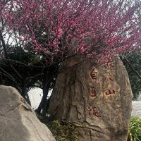 評論圖片 1