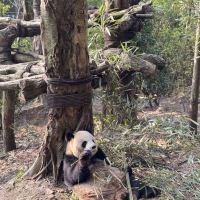 評論圖片 4
