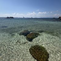 評論圖片 7