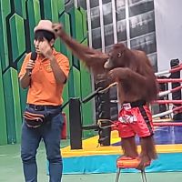 評論圖片 1
