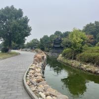 評論圖片 5