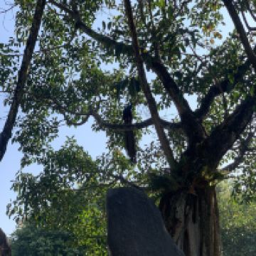 評論圖片 5