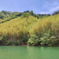 評論圖片 6