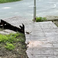評論圖片 7