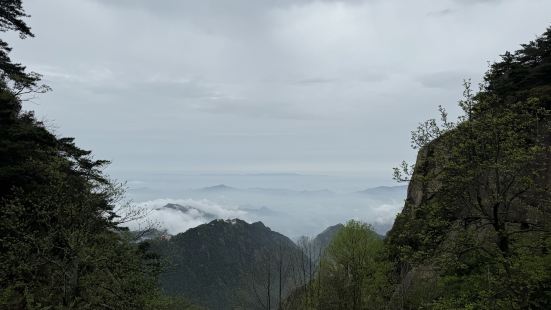 佛教圣地，就是台阶太多，天台景色很美，要有个好体力才能去天台