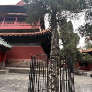 評論圖片 5
