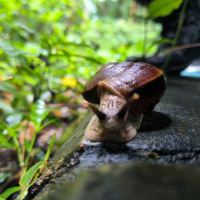 評論圖片 5