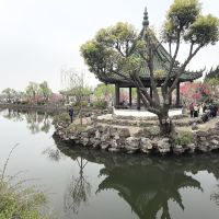 評論圖片 1