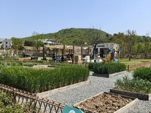 Hefei Miracle Manor