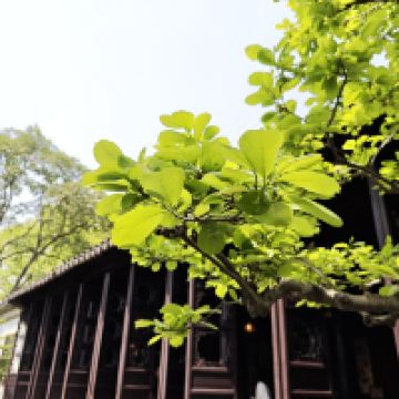 評論圖片 1