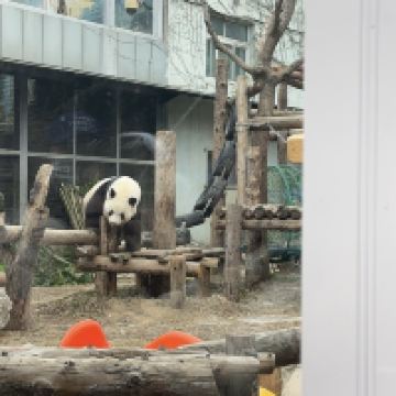 評論圖片 2
