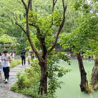 評論圖片 8
