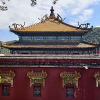 評論圖片 4
