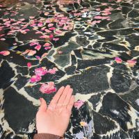 評論圖片 6