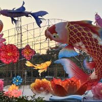 評論圖片 4