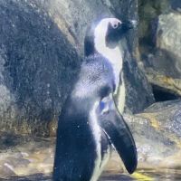 評論圖片 4