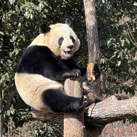 評論圖片 4