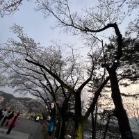 評論圖片 8