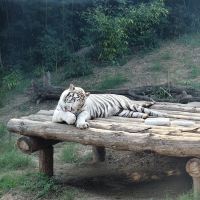 評論圖片 2