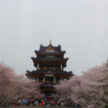 評論圖片 5