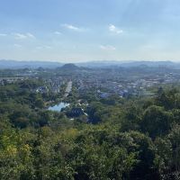 評論圖片 8