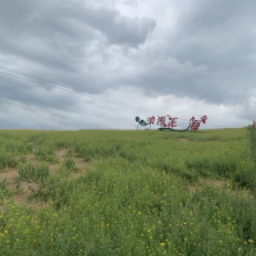 評論圖片 1