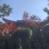 評論圖片 6