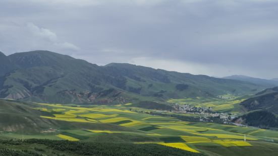 西北的小瑞士，果然名不虛傳。7-8越來能看到漫山遍野的油菜花