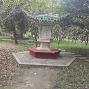 評論圖片 2