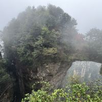 評論圖片 4
