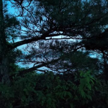 評論圖片 2