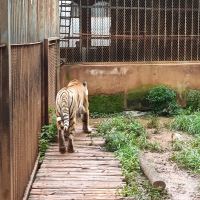 評論圖片 8