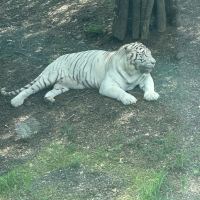 評論圖片 1