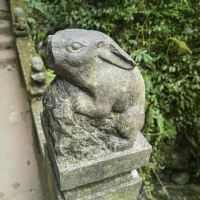 評論圖片 6