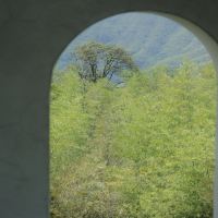 評論圖片 7
