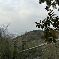 評論圖片 4