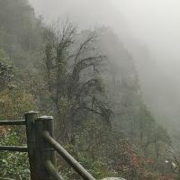 評論圖片 5