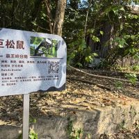 評論圖片 4