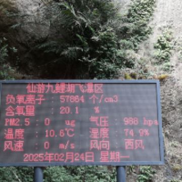 評論圖片 5