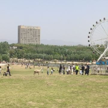 評論圖片 1
